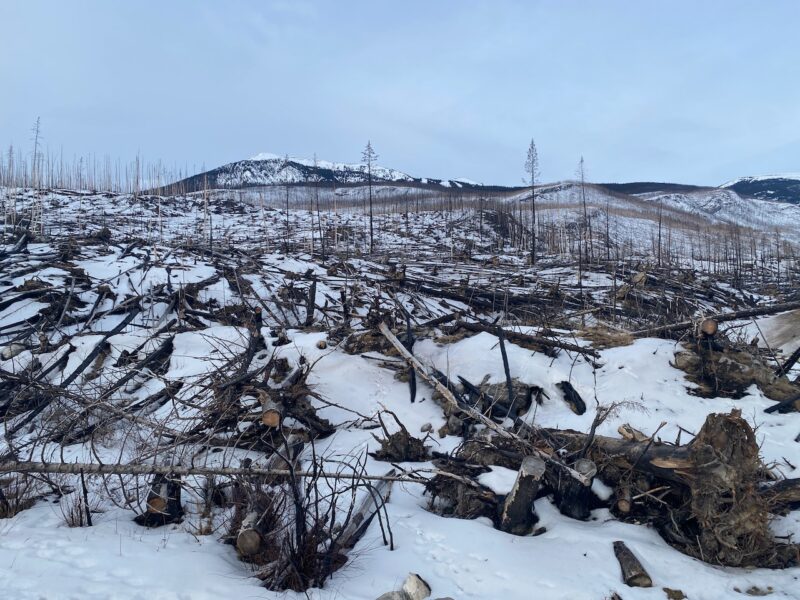 Jasper Wildfire,near Icefields Parkway. Image © PlanetSKI